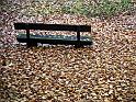 Ausencias en Otoño
